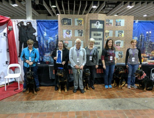 Rottweilers Win the Best Working Group for Best Booth at 2018 WKC