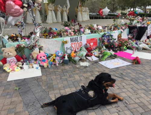 Crisis Response Team Rottweiler “Gunther” Brings Comfort to Parkland, FL Shooting Victims