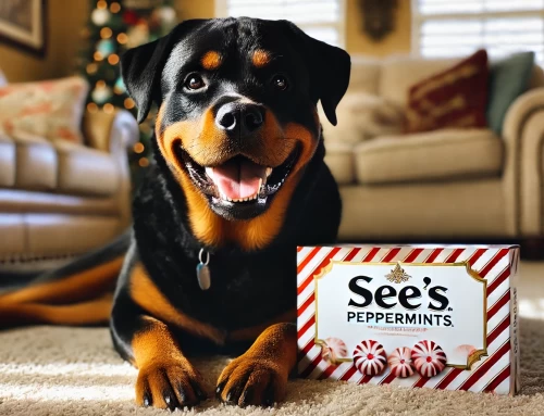 Candy Drive Fundraiser for the American Rottweiler Club