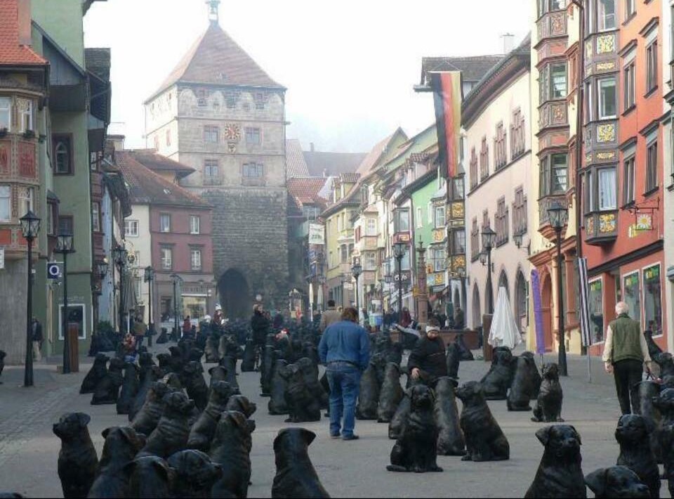 468948553_10161033086529506_5288439026048137538_n