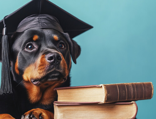 Growing Smart Puppies