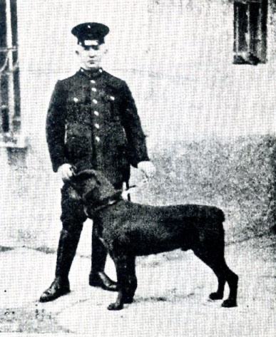 CD954729-F916-4C5D-83D3-C928B429ACBA