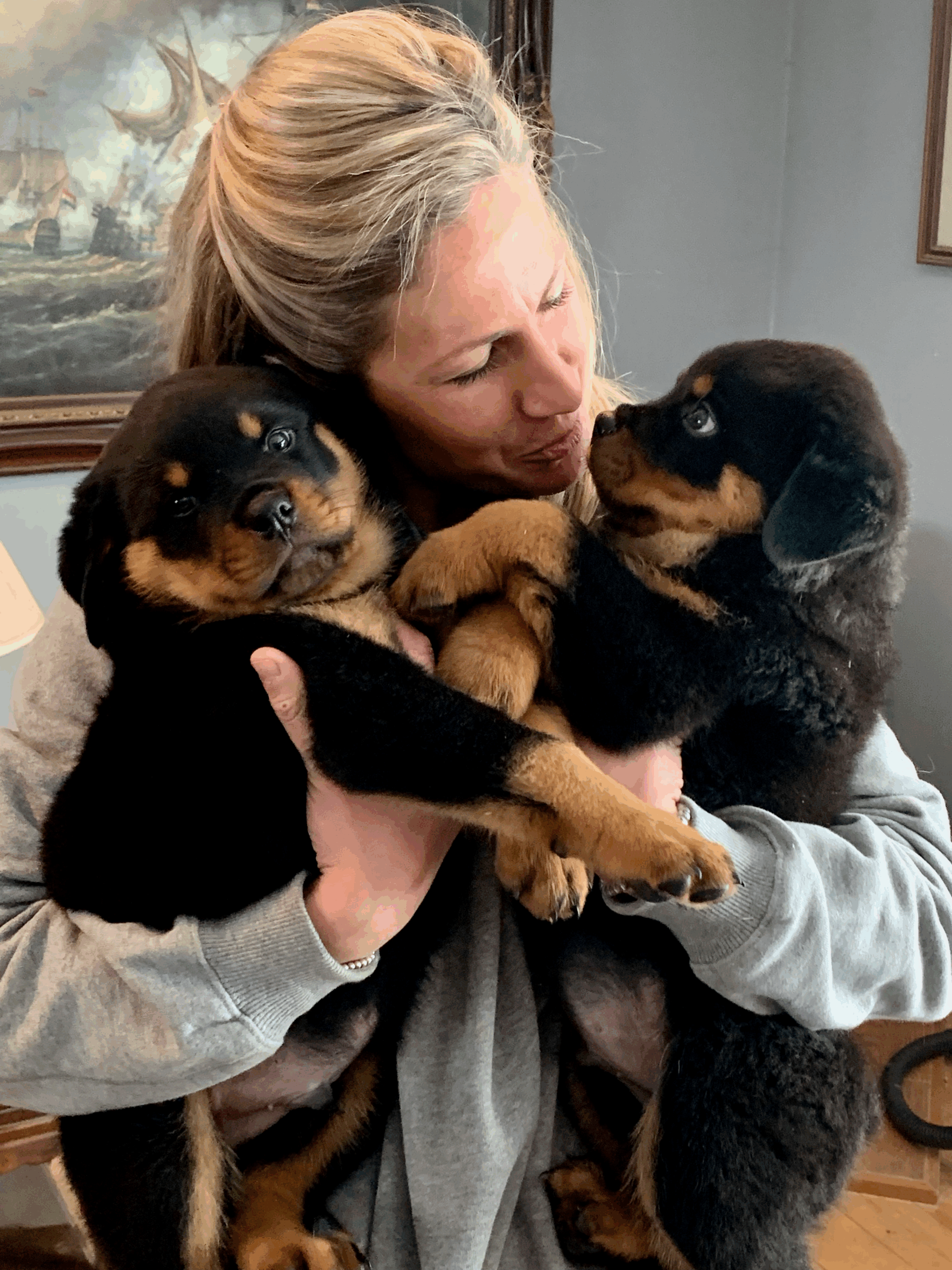 Isengard_Puppies